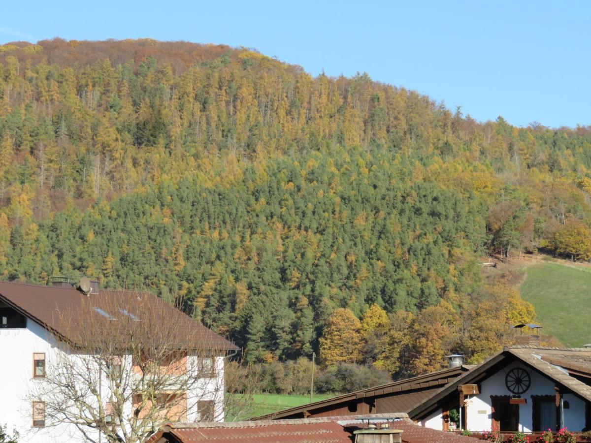 Appartement Traumblick Am Bartelsborn à Kleinern Extérieur photo